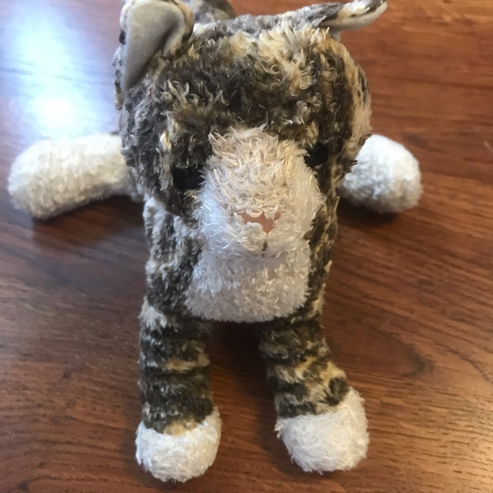 Douglas Cat Plush